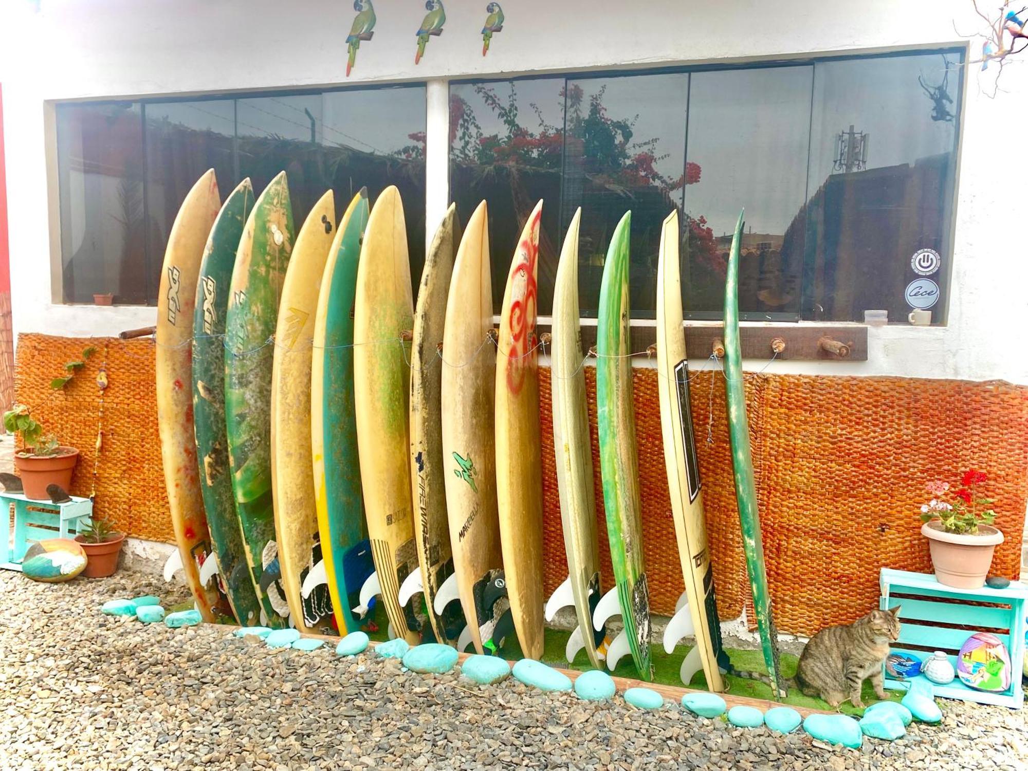 Surf House Chicama Ξενοδοχείο Puerto Chicama Εξωτερικό φωτογραφία