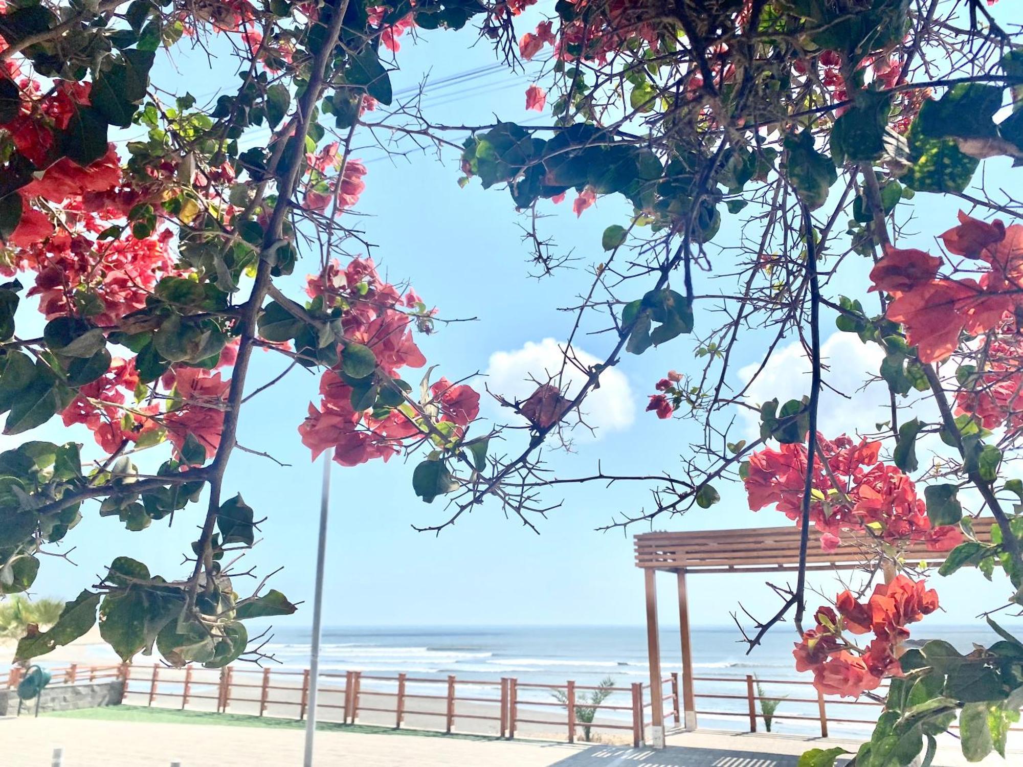 Surf House Chicama Ξενοδοχείο Puerto Chicama Εξωτερικό φωτογραφία