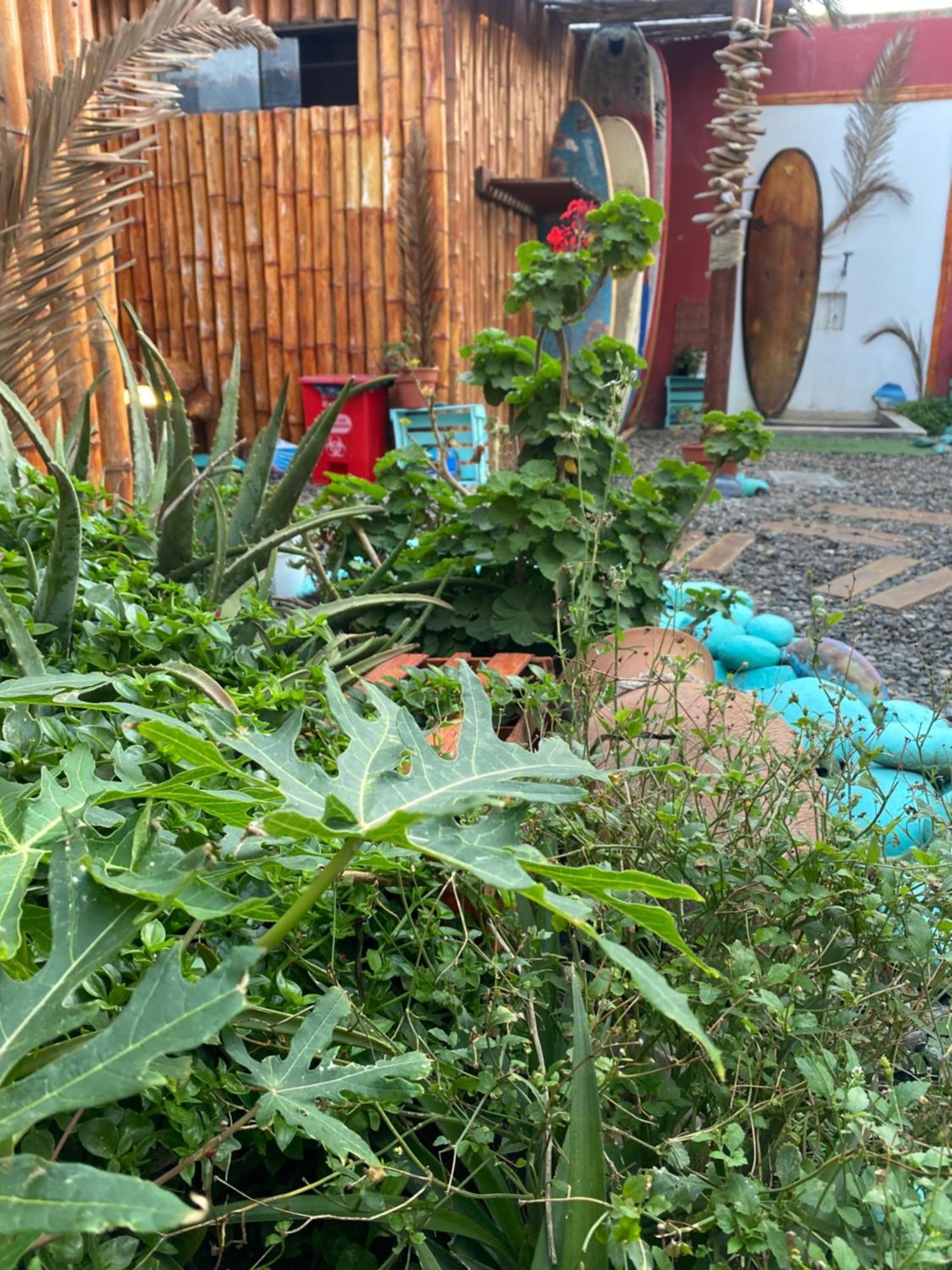 Surf House Chicama Ξενοδοχείο Puerto Chicama Εξωτερικό φωτογραφία